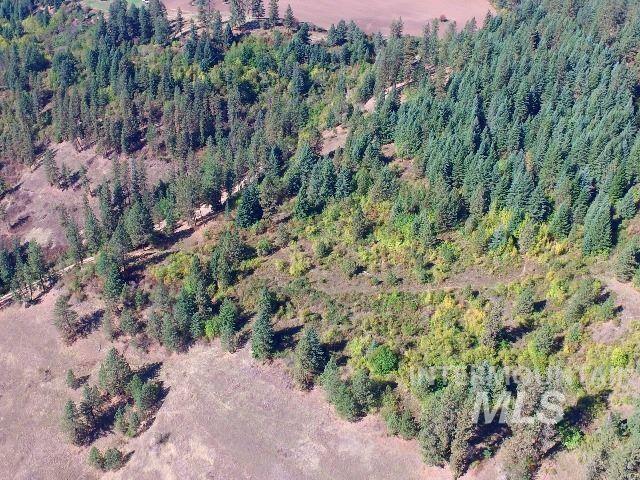 TBD Maggie Creek-Harris Ridge, Kooskia, Idaho 83539, Land For Sale, Price $399,500, 98925385