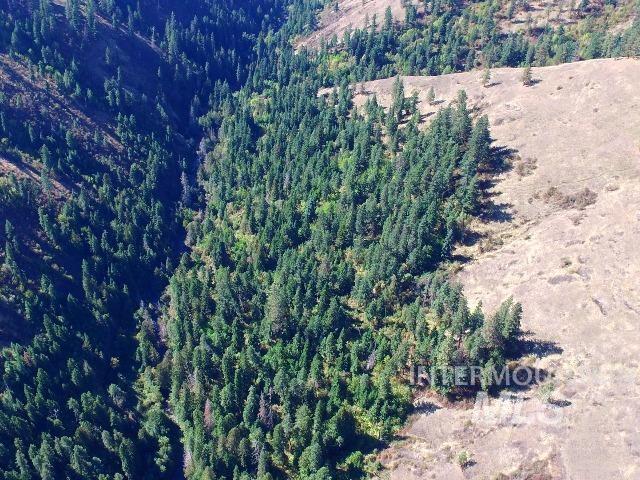TBD Maggie Creek-Harris Ridge, Kooskia, Idaho 83539, Land For Sale, Price $399,500, 98925385