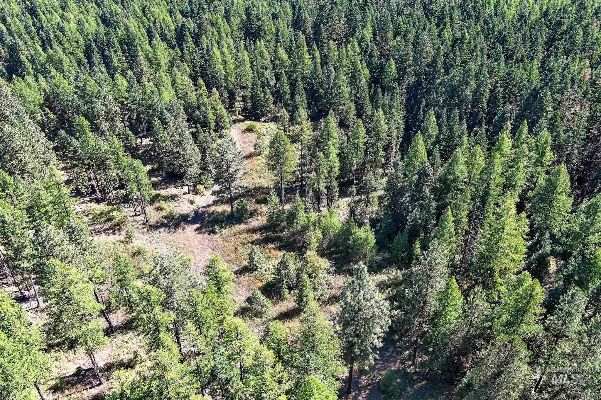 24606 Soldiers Meadow Rd, Winchester, Idaho 83555, Land For Sale, Price $200,000, 98925421