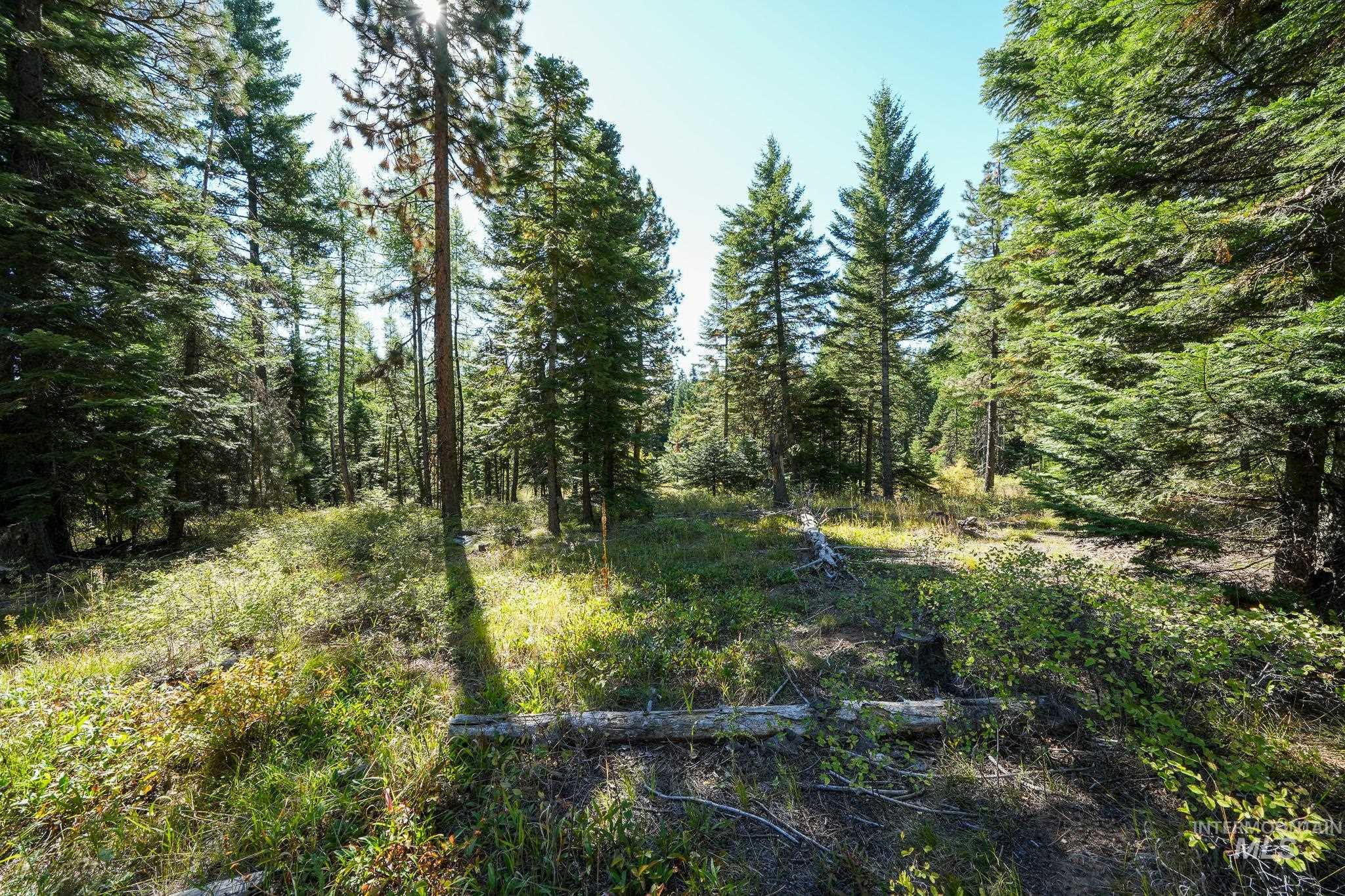 24606 Soldiers Meadow Rd, Winchester, Idaho 83555, Land For Sale, Price $200,000, 98925421