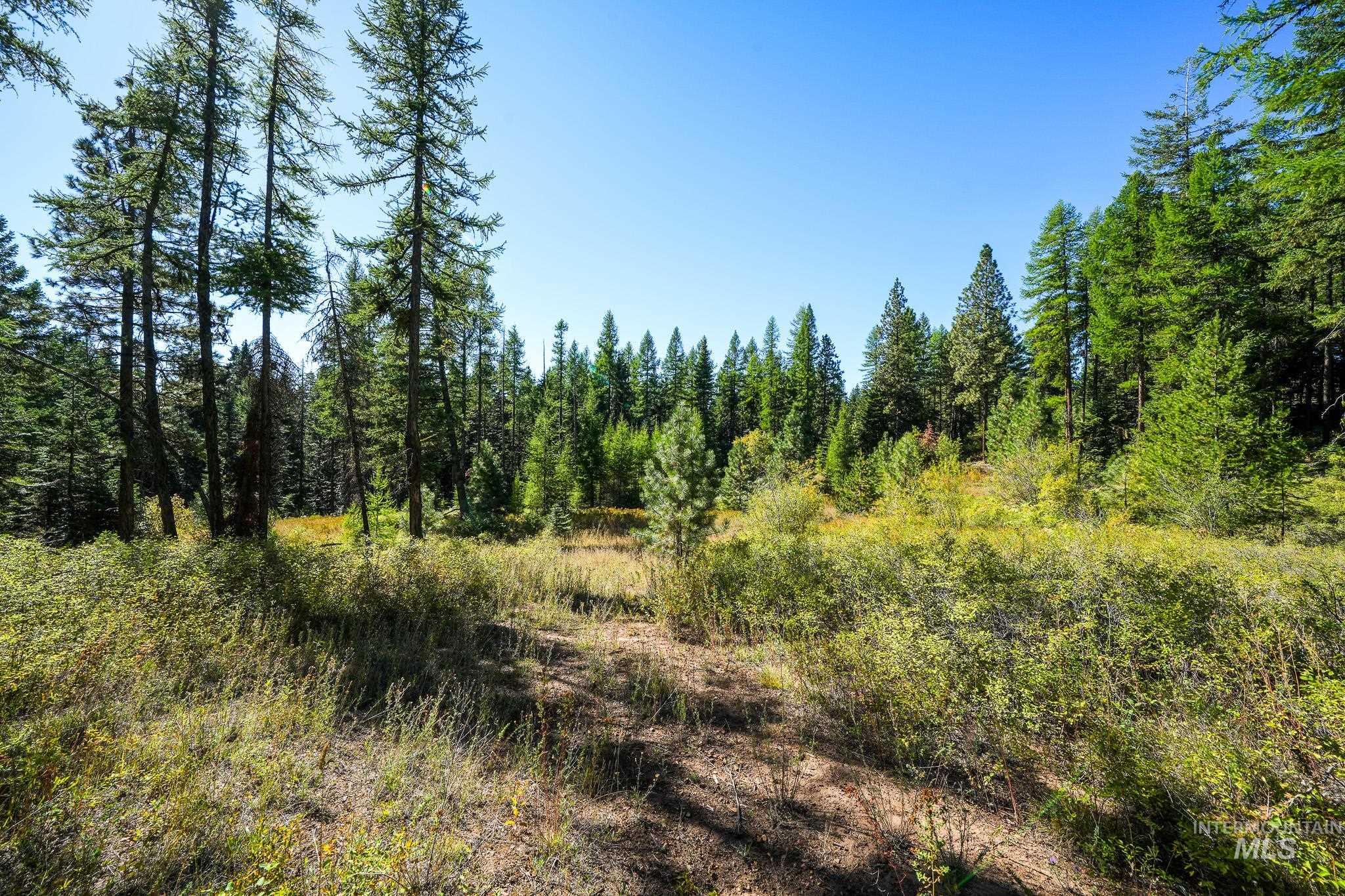 24606 Soldiers Meadow Rd, Winchester, Idaho 83555, Land For Sale, Price $200,000, 98925421