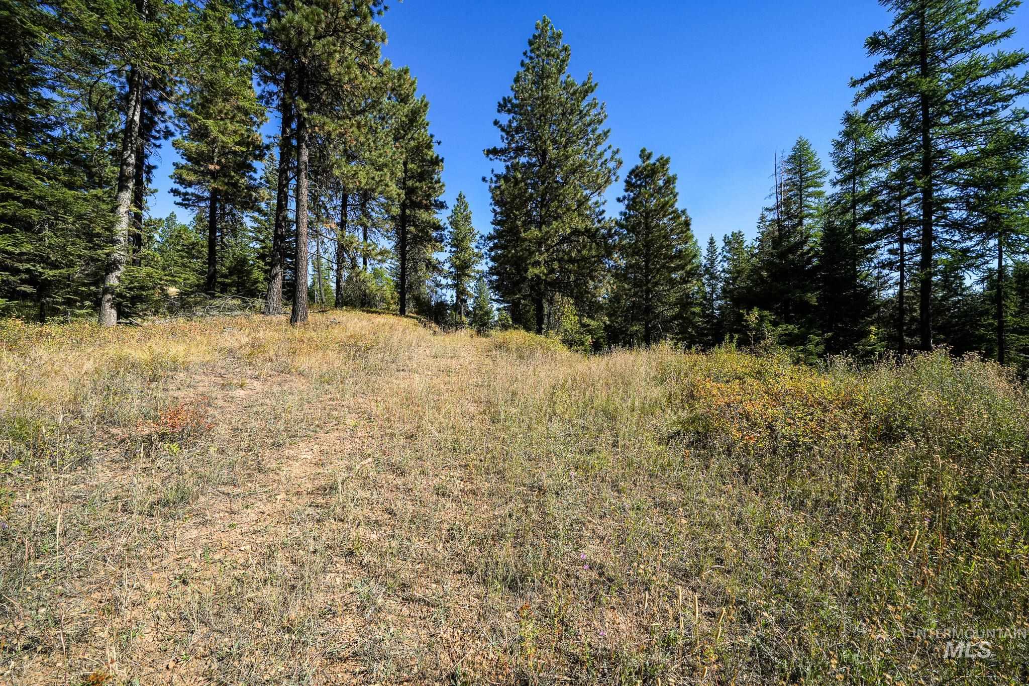 24606 Soldiers Meadow Rd, Winchester, Idaho 83555, Land For Sale, Price $200,000, 98925421