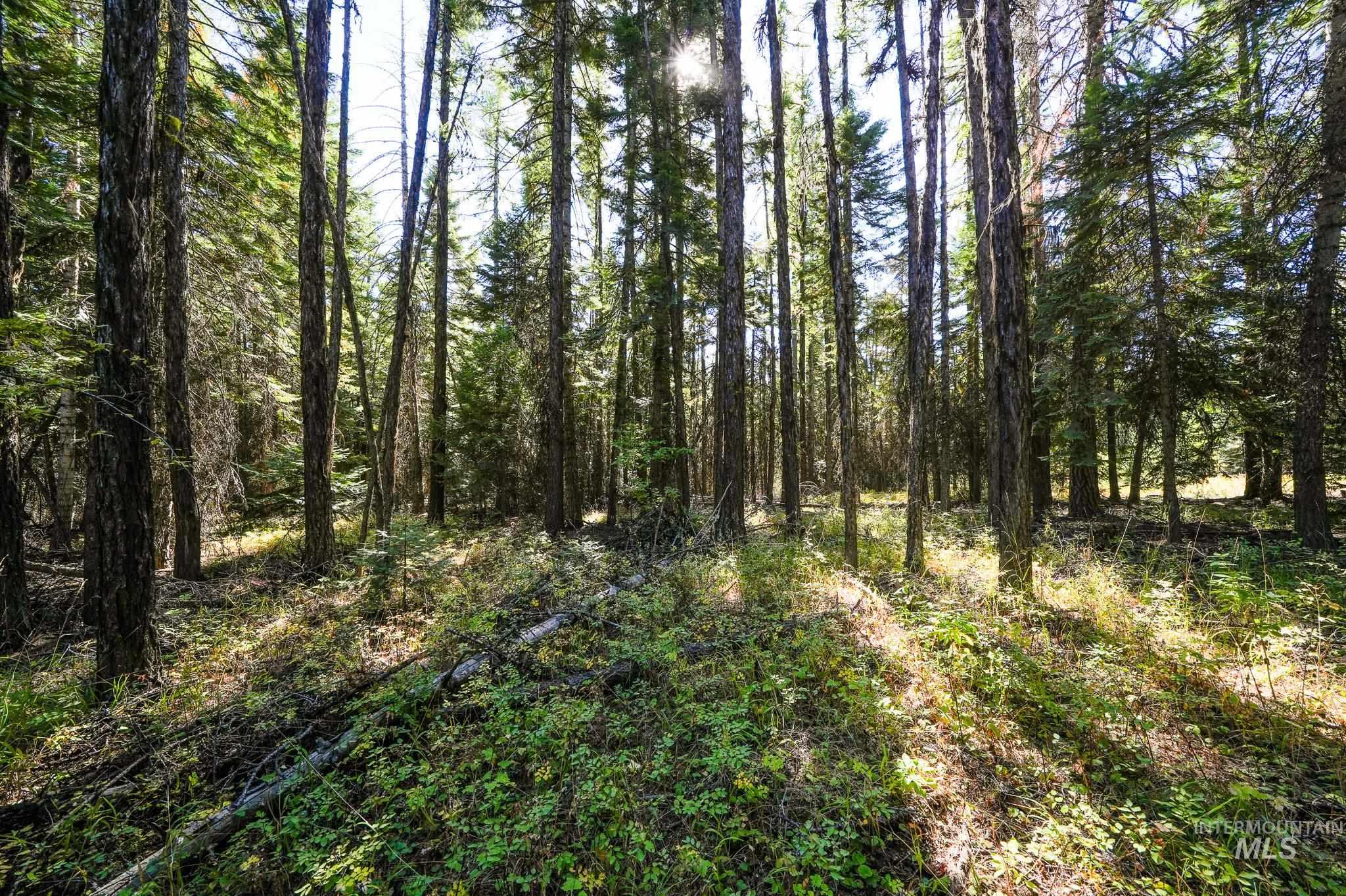24606 Soldiers Meadow Rd, Winchester, Idaho 83555, Land For Sale, Price $200,000, 98925421