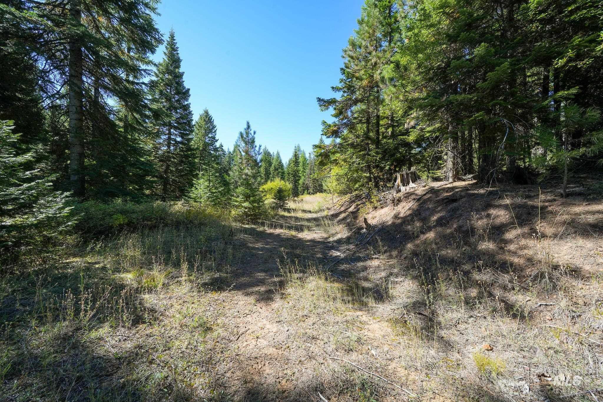 24606 Soldiers Meadow Rd, Winchester, Idaho 83555, Land For Sale, Price $200,000, 98925421