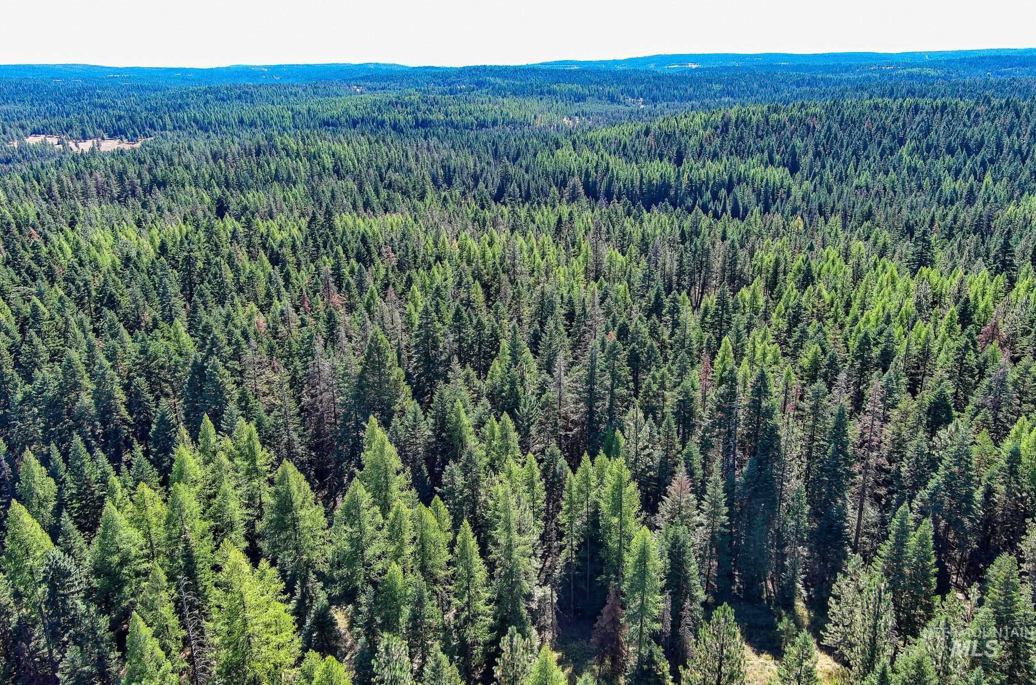 24606 Soldiers Meadow Rd, Winchester, Idaho 83555, Land For Sale, Price $200,000, 98925421