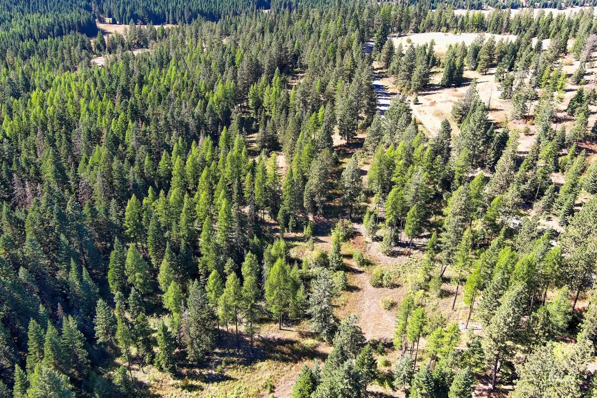 24606 Soldiers Meadow Rd, Winchester, Idaho 83555, Land For Sale, Price $200,000, 98925421