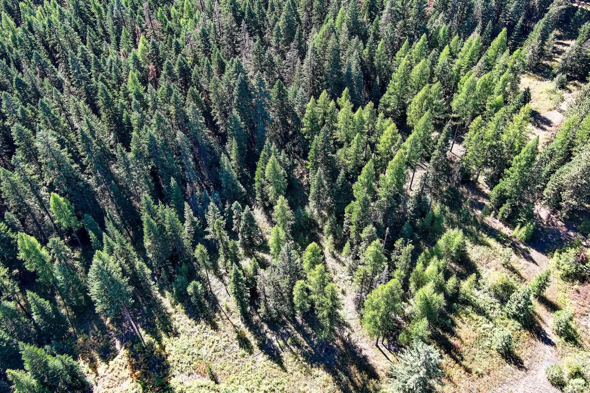 24606 Soldiers Meadow Rd, Winchester, Idaho 83555, Land For Sale, Price $200,000, 98925421