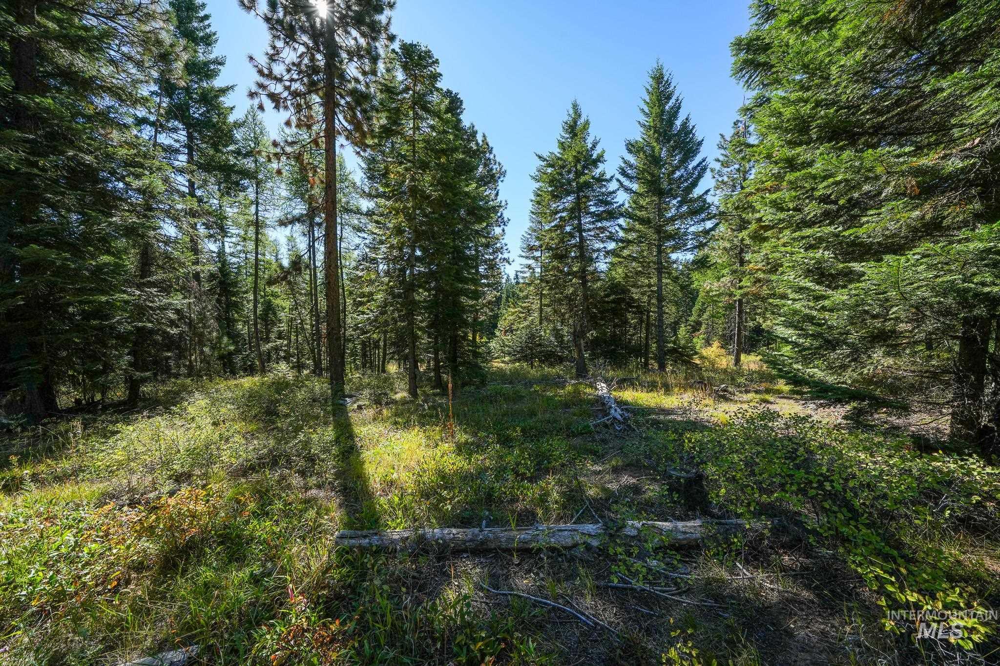 24606 Soldiers Meadow Rd, Winchester, Idaho 83555, Land For Sale, Price $200,000,MLS 98925421