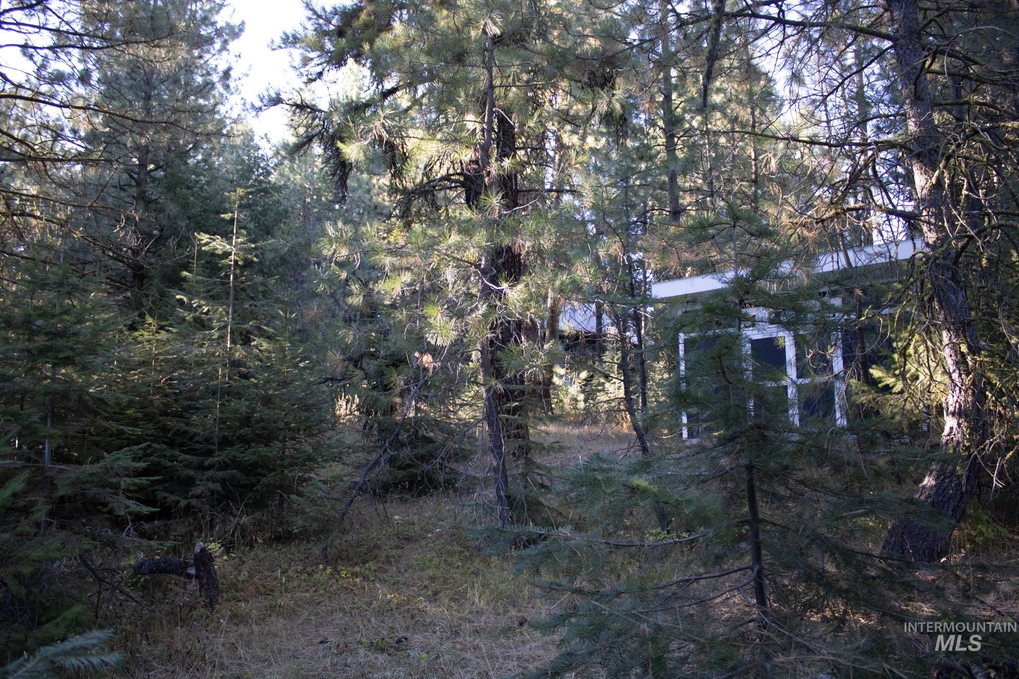 2162 Christie Rd, Donnelly, Idaho 83615, Land For Sale, Price $325,000, 98925438