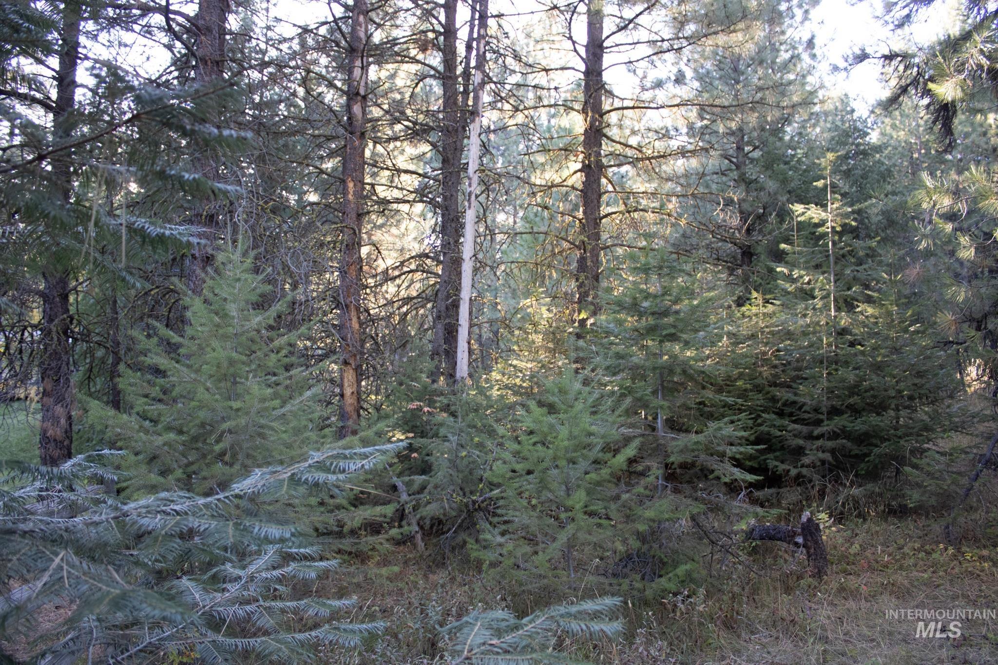 2162 Christie Rd, Donnelly, Idaho 83615, Land For Sale, Price $325,000, 98925438