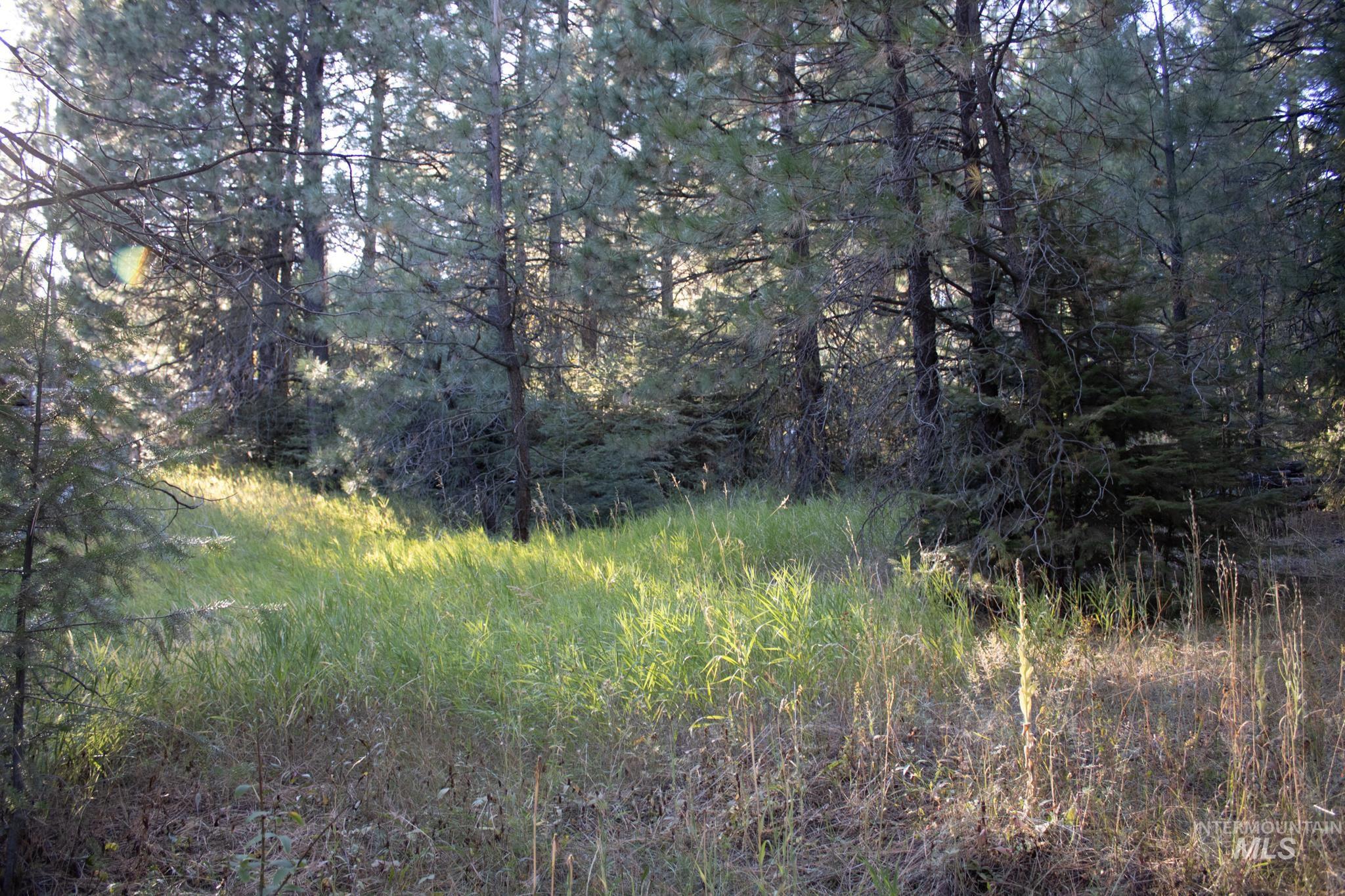 2162 Christie Rd, Donnelly, Idaho 83615, Land For Sale, Price $325,000, 98925438