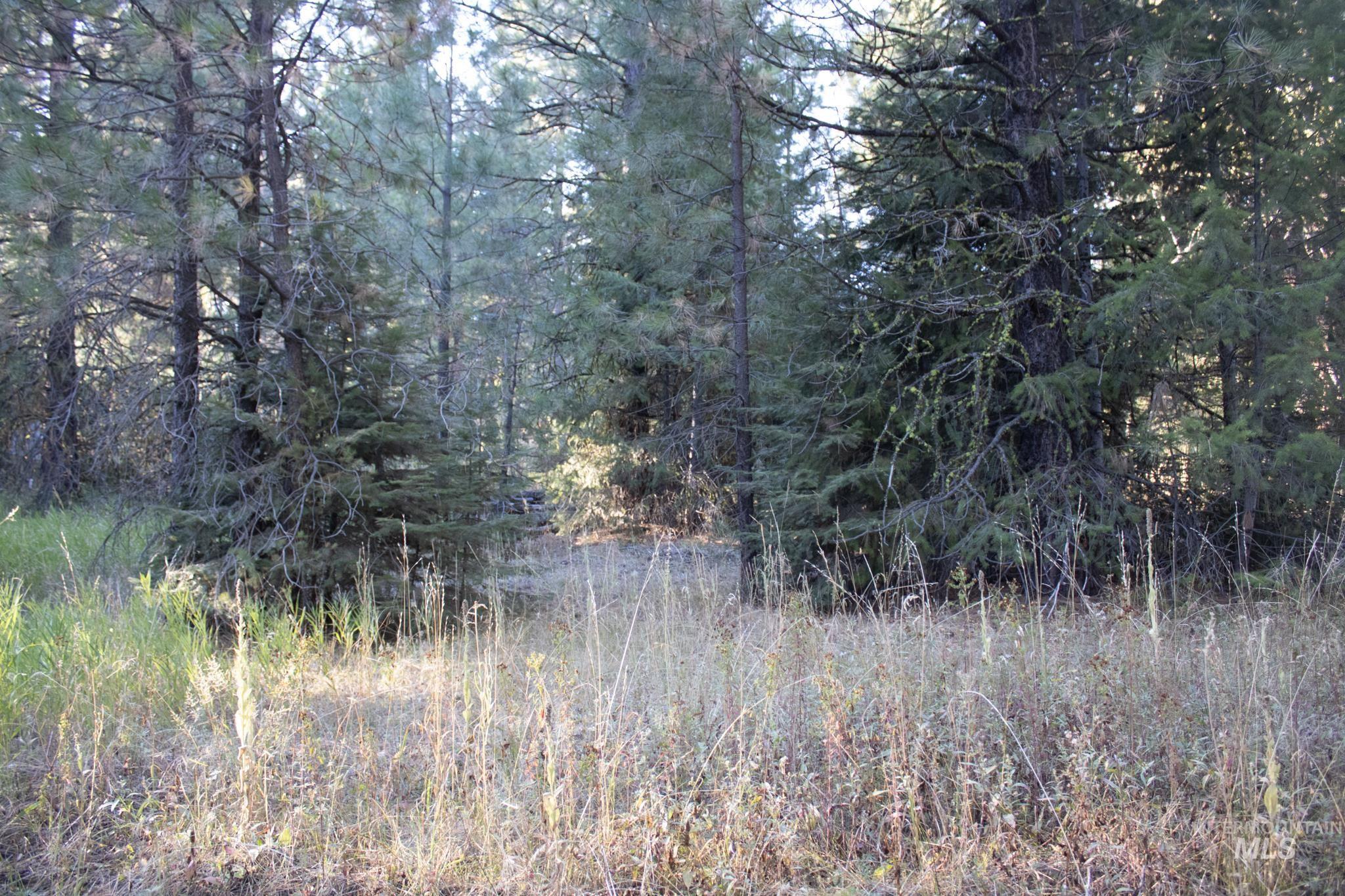 2162 Christie Rd, Donnelly, Idaho 83615, Land For Sale, Price $325,000, 98925438