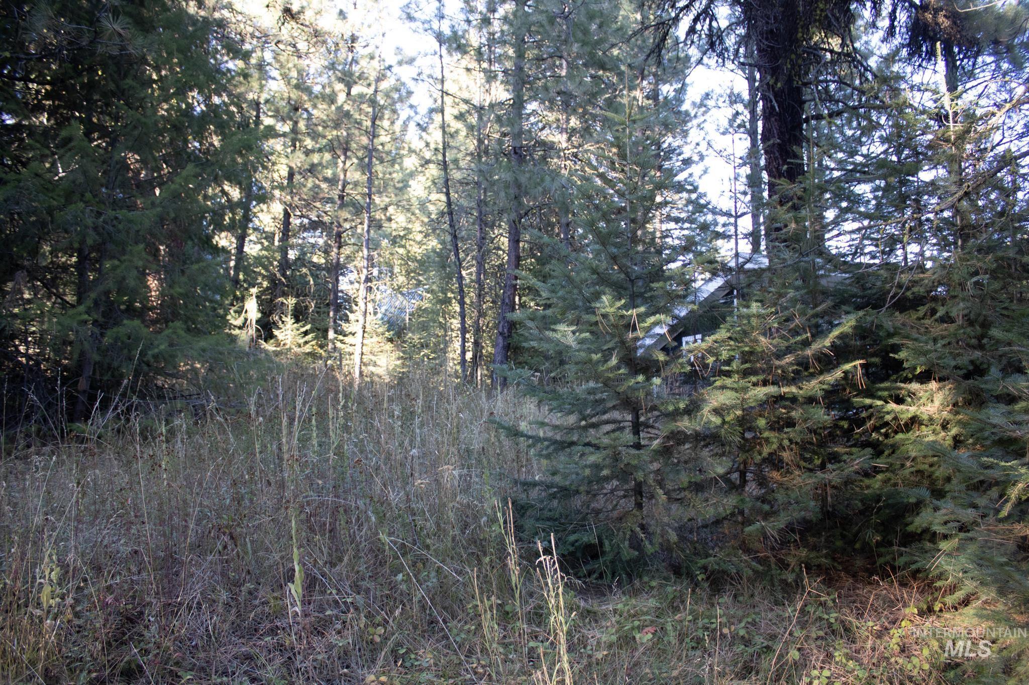 2162 Christie Rd, Donnelly, Idaho 83615, Land For Sale, Price $325,000, 98925438