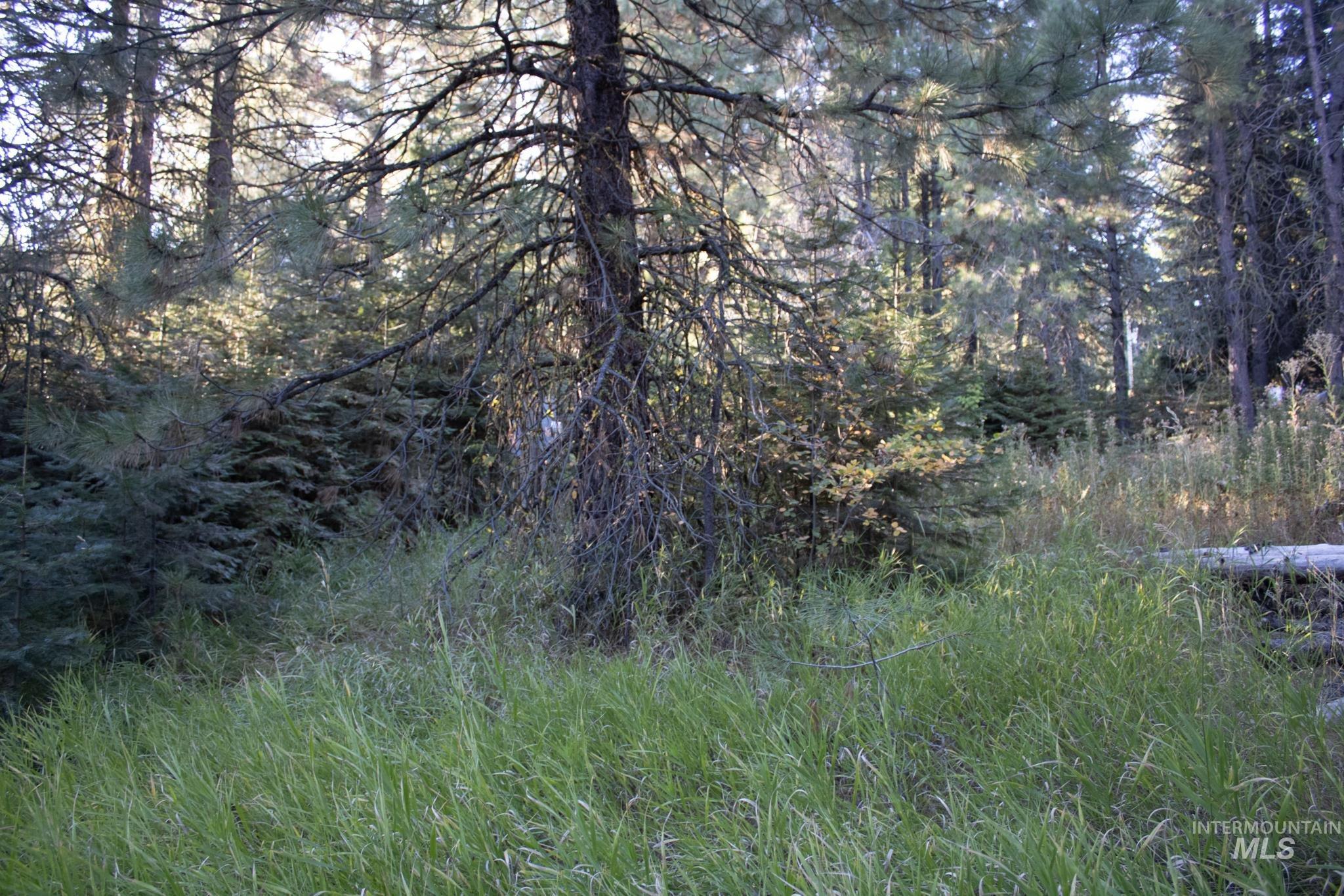 2162 Christie Rd, Donnelly, Idaho 83615, Land For Sale, Price $325,000, 98925438