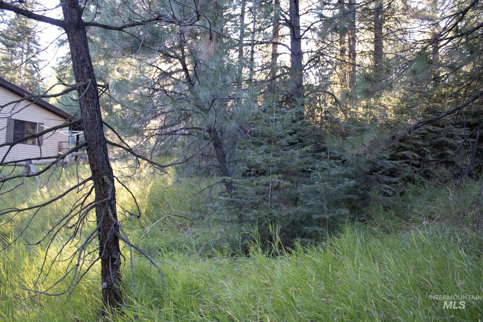 2162 Christie Rd, Donnelly, Idaho 83615, Land For Sale, Price $325,000, 98925438