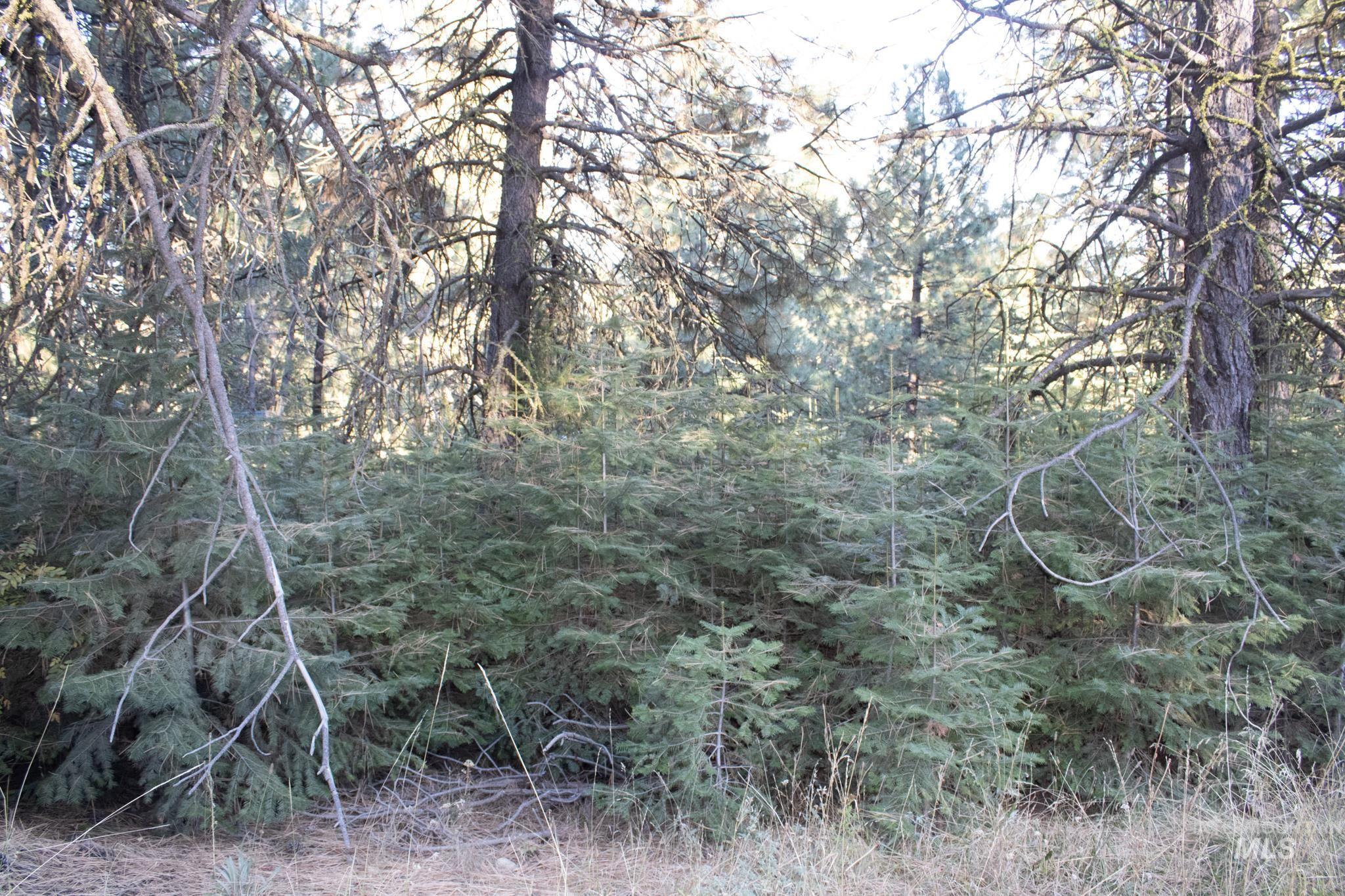 2162 Christie Rd, Donnelly, Idaho 83615, Land For Sale, Price $325,000, 98925438