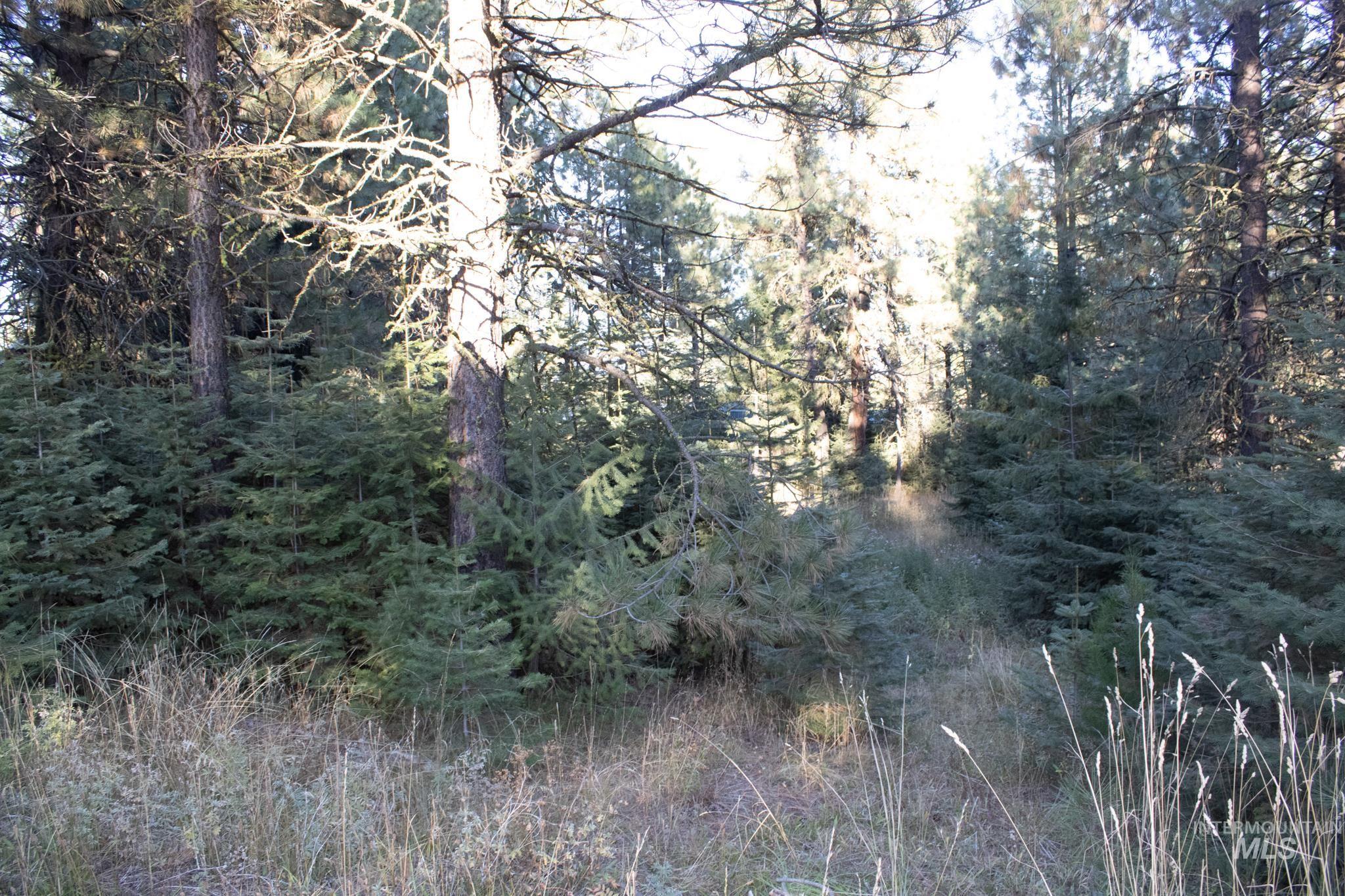 2162 Christie Rd, Donnelly, Idaho 83615, Land For Sale, Price $325,000, 98925438