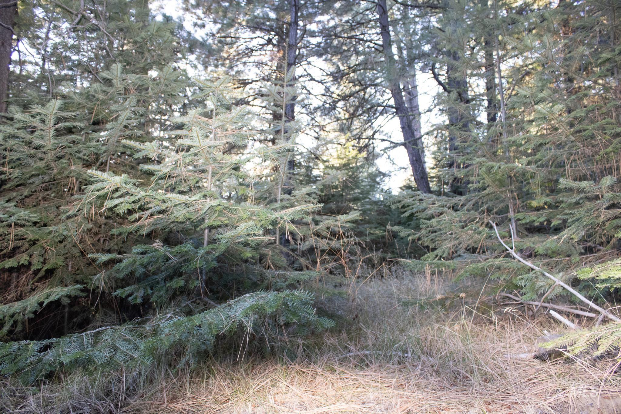 2162 Christie Rd, Donnelly, Idaho 83615, Land For Sale, Price $325,000, 98925438
