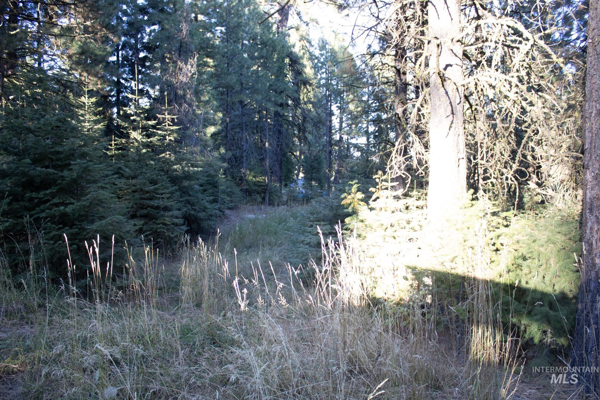 2162 Christie Rd, Donnelly, Idaho 83615, Land For Sale, Price $325,000, 98925438