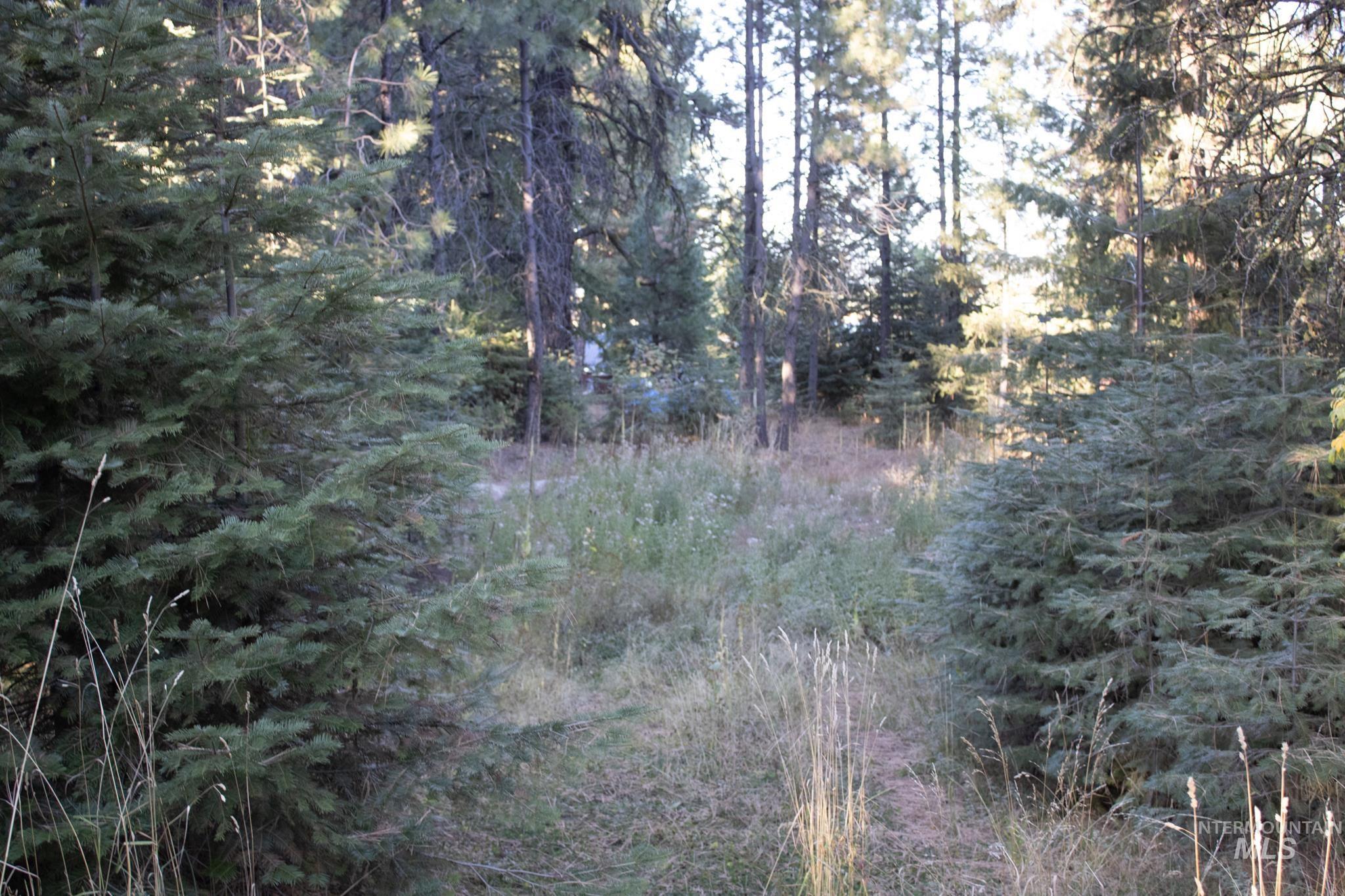 2162 Christie Rd, Donnelly, Idaho 83615, Land For Sale, Price $325,000, 98925438