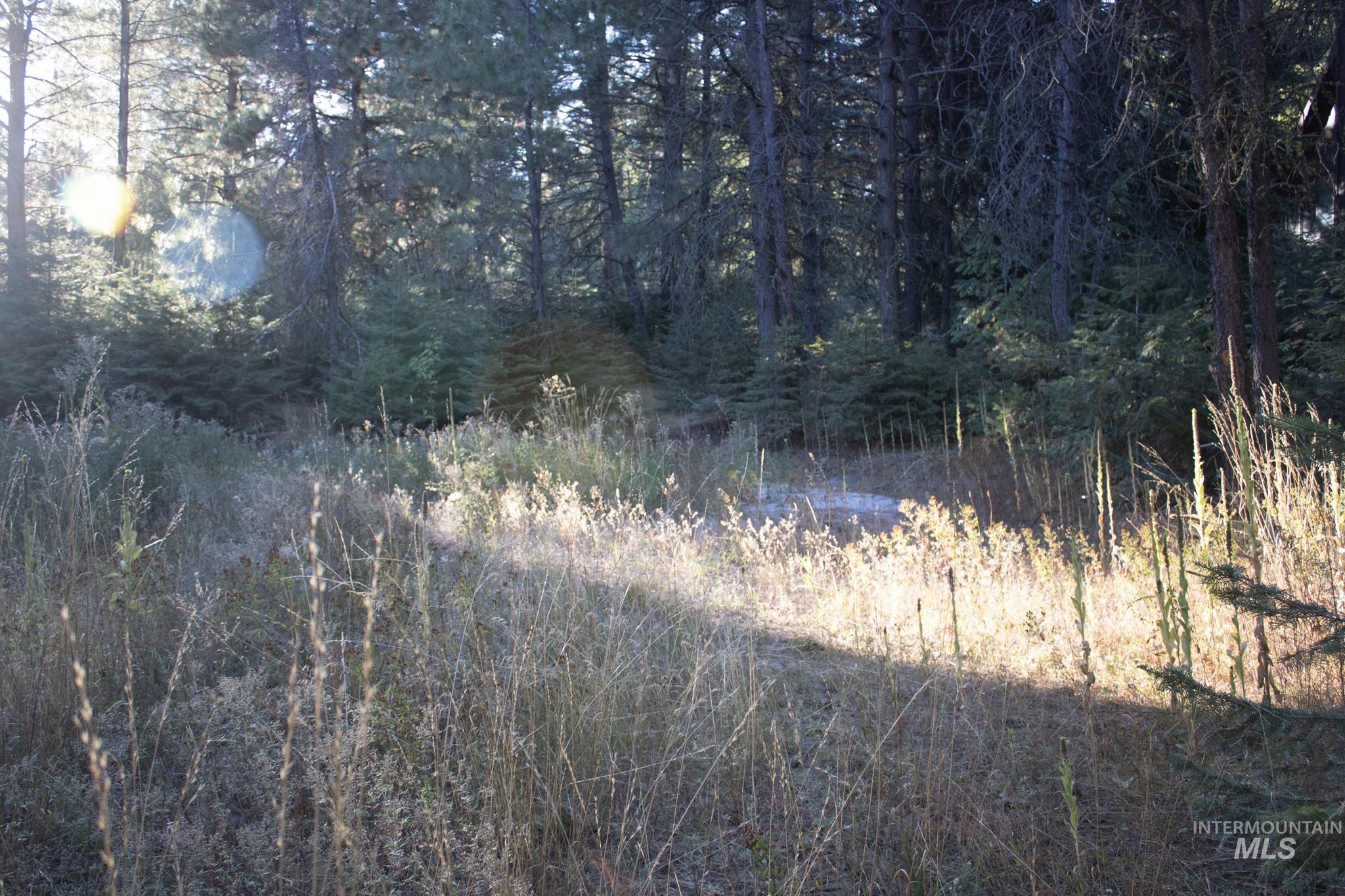 2162 Christie Rd, Donnelly, Idaho 83615, Land For Sale, Price $325,000, 98925438