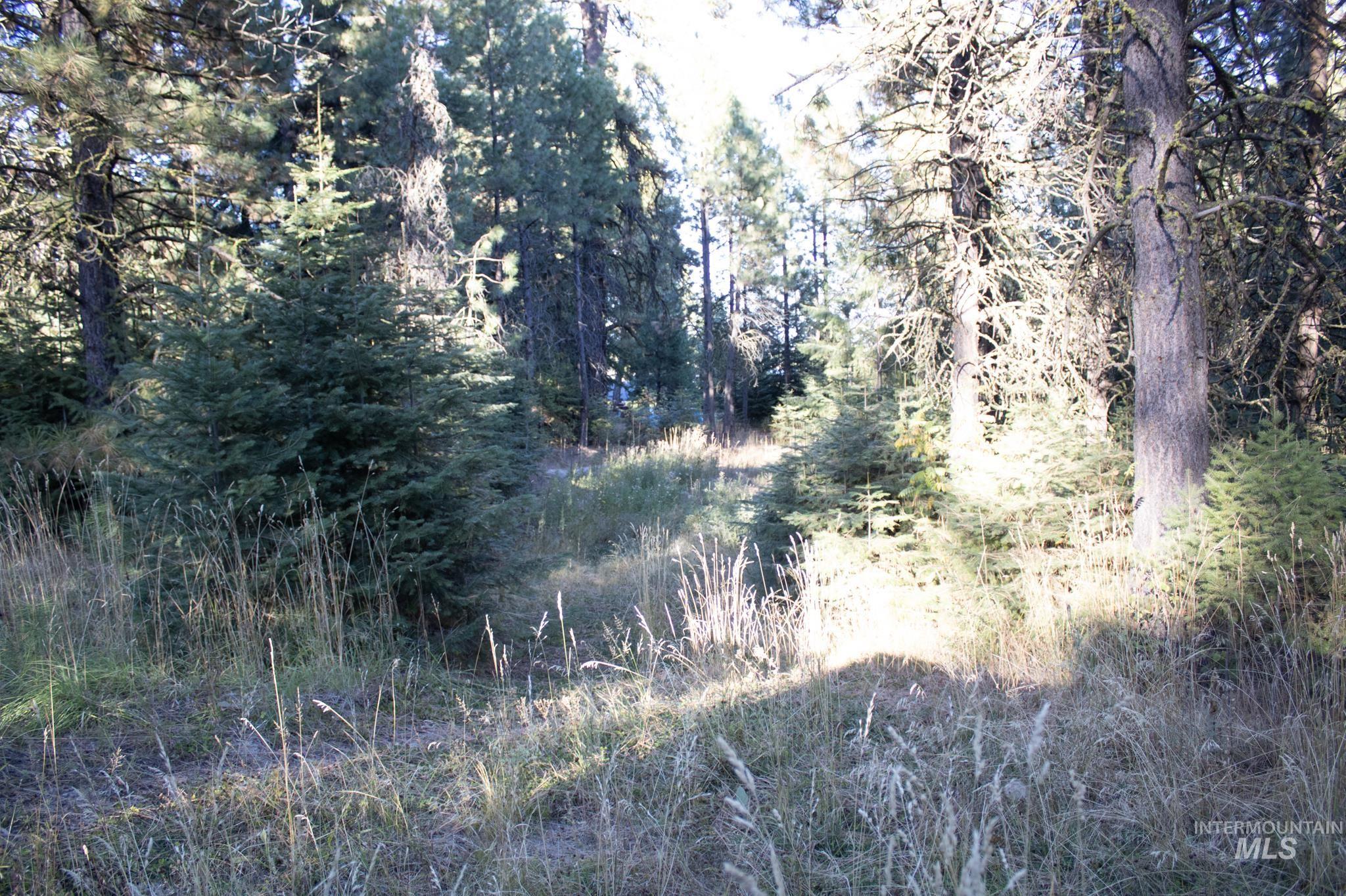2162 Christie Rd, Donnelly, Idaho 83615, Land For Sale, Price $325,000, 98925438