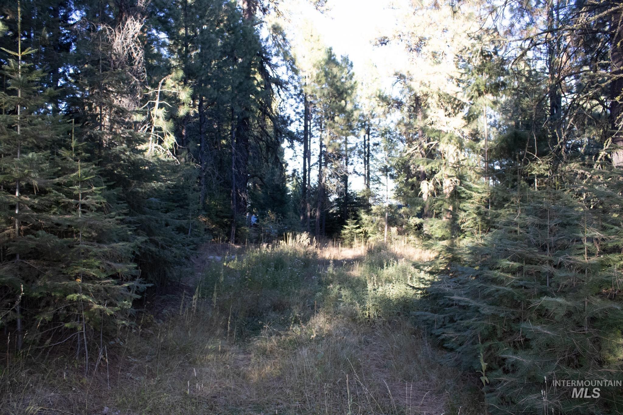 2162 Christie Rd, Donnelly, Idaho 83615, Land For Sale, Price $325,000, 98925438