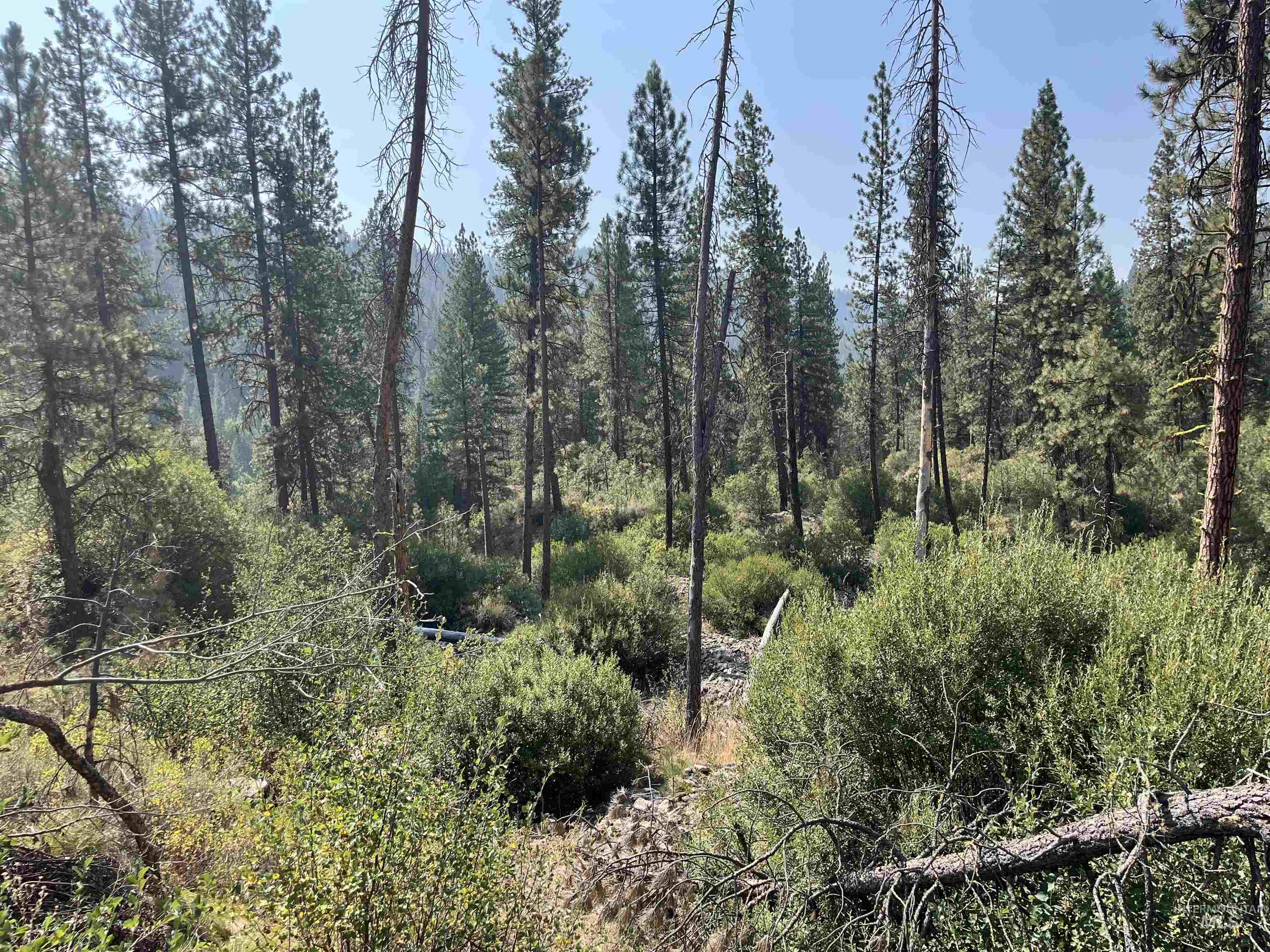 TBD 2.92 Manning, Idaho City, Idaho 83631, Land For Sale, Price $180,000, 98925494