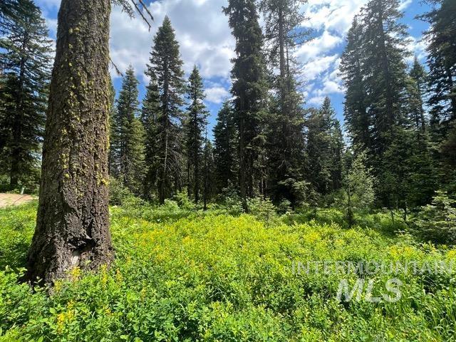 TBD Eagle Trail, Donnelly, Idaho 83615, Land For Sale, Price $199,000, 98925508