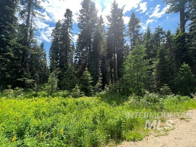 TBD Eagle Trail, Donnelly, Idaho 83615, Land For Sale, Price $199,000, 98925508