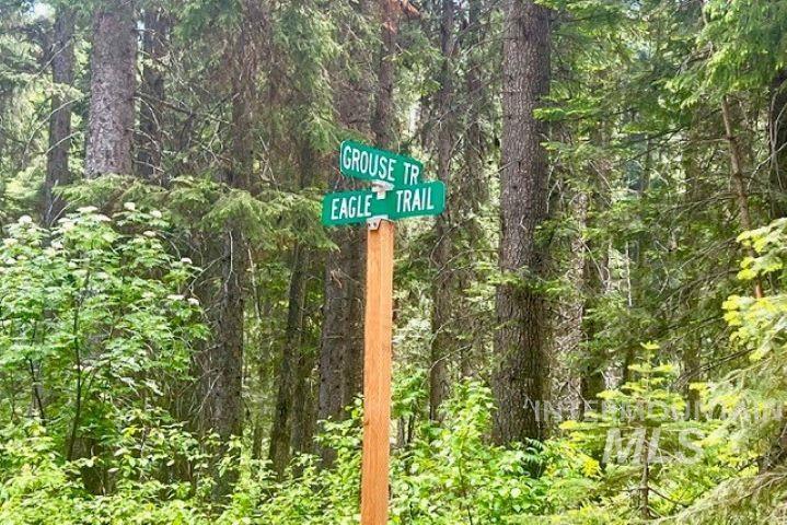 TBD Eagle Trail, Donnelly, Idaho 83615, Land For Sale, Price $199,000, 98925508
