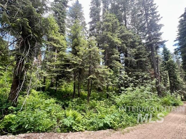 TBD Eagle Trail, Donnelly, Idaho 83615, Land For Sale, Price $199,000, 98925508