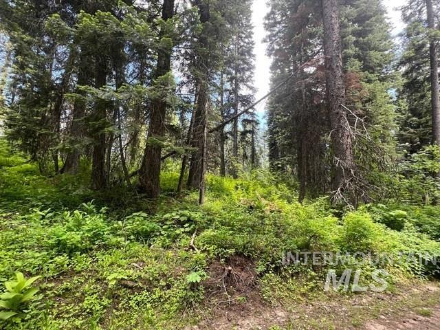 TBD Eagle Trail, Donnelly, Idaho 83615, Land For Sale, Price $199,000, 98925508