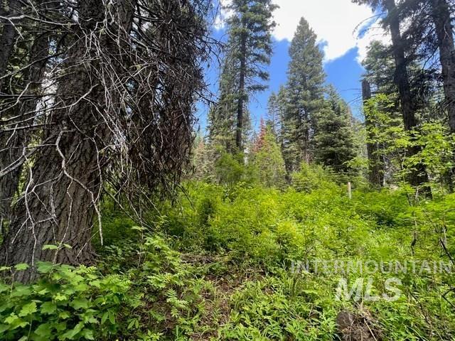 TBD Eagle Trail, Donnelly, Idaho 83615, Land For Sale, Price $199,000, 98925508