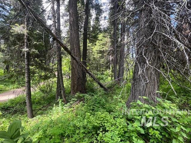 TBD Eagle Trail, Donnelly, Idaho 83615, Land For Sale, Price $199,000, 98925508