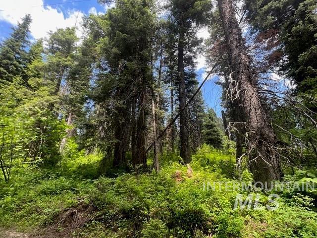 TBD Eagle Trail, Donnelly, Idaho 83615, Land For Sale, Price $199,000, 98925508