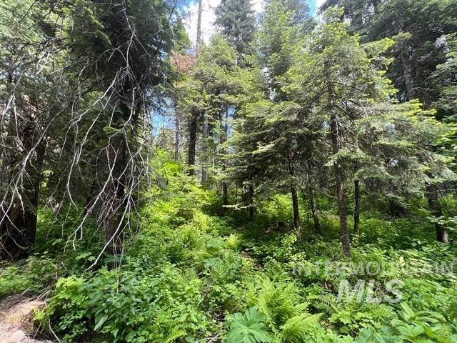 TBD Eagle Trail, Donnelly, Idaho 83615, Land For Sale, Price $199,000, 98925508