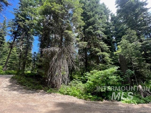 TBD Eagle Trail, Donnelly, Idaho 83615, Land For Sale, Price $199,000, 98925508