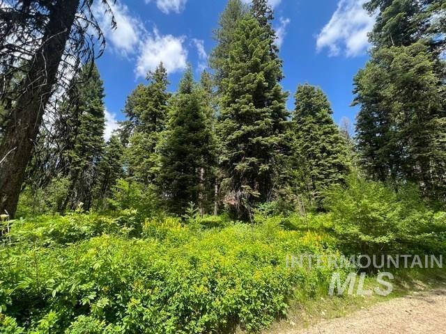 TBD Grouse Trail, Donnelly, Idaho 83615, Land For Sale, Price $199,000, 98925509