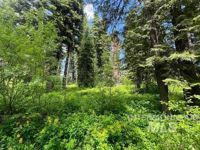 TBD Grouse Trail, Donnelly, Idaho 83615, Land For Sale, Price $199,000, 98925509