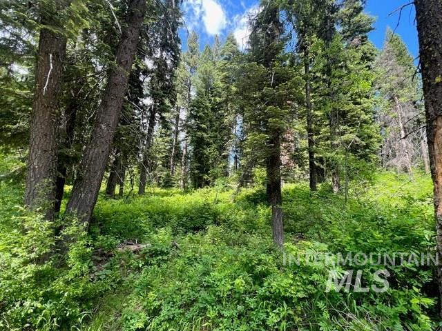 TBD Grouse Trail, Donnelly, Idaho 83615, Land For Sale, Price $199,000, 98925509