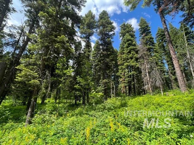 TBD Grouse Trail, Donnelly, Idaho 83615, Land For Sale, Price $199,000, 98925509