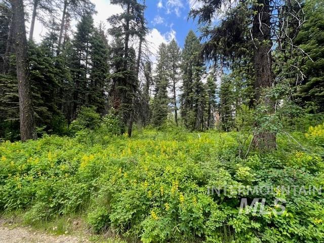 TBD Grouse Trail, Donnelly, Idaho 83615, Land For Sale, Price $199,000, 98925509