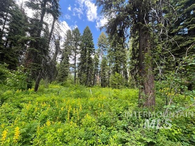TBD Grouse Trail, Donnelly, Idaho 83615, Land For Sale, Price $199,000, 98925509