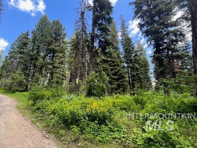 TBD Grouse Trail, Donnelly, Idaho 83615, Land For Sale, Price $199,000, 98925509