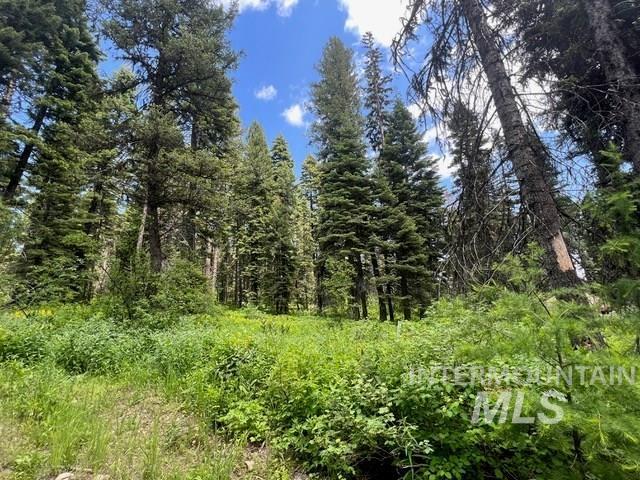 TBD Grouse Trail, Donnelly, Idaho 83615, Land For Sale, Price $199,000, 98925509