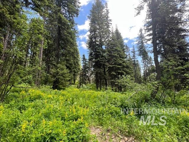 TBD Grouse Trail, Donnelly, Idaho 83615, Land For Sale, Price $199,000, 98925509