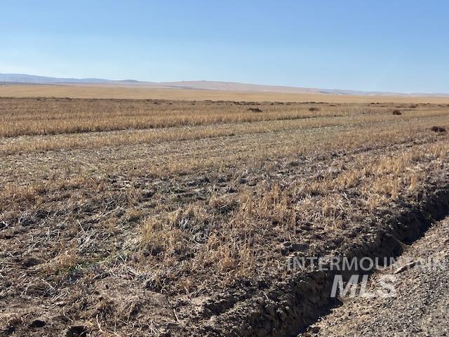 TBD Peola Road (Parcel 2), Clarkston, Washington 99403, Land For Sale, Price $300,000, 98925513