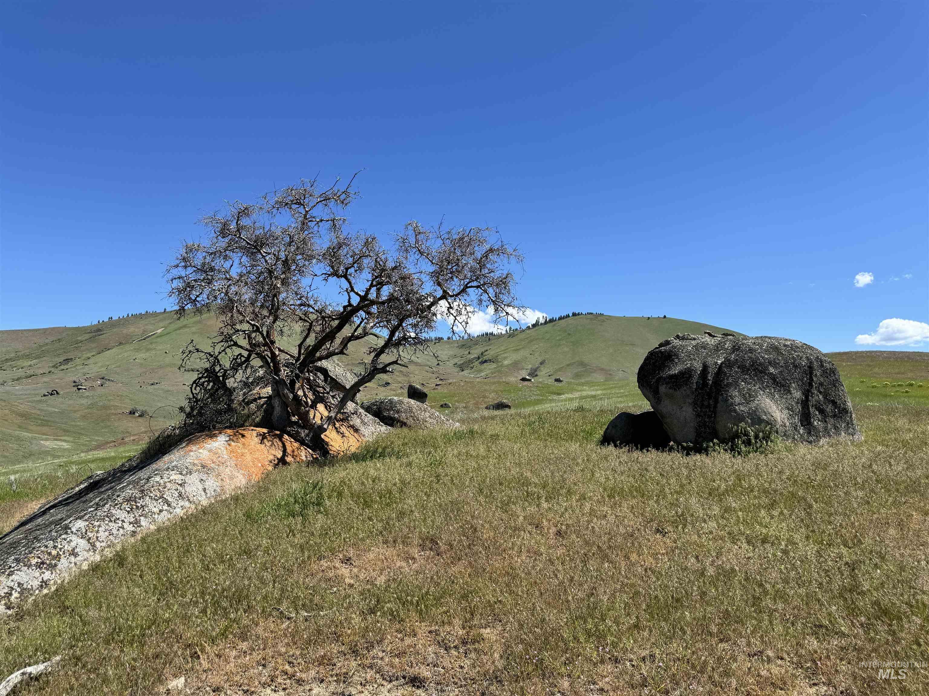35 ac Timber Butte Rd, Sweet, Idaho 83670, Land For Sale, Price $395,000, 98925536