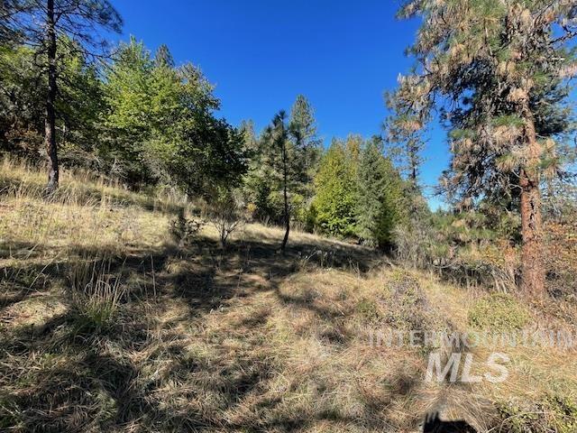 526 Ridgewood Drive, Kooskia, Idaho 83539, 3 Bedrooms, 2 Bathrooms, Residential For Sale, Price $365,000, 98925552